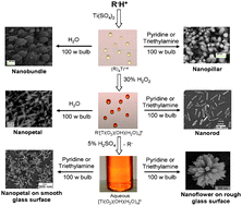 Graphical abstract: New hydrothermal process for hierarchical TiO2nanostructures