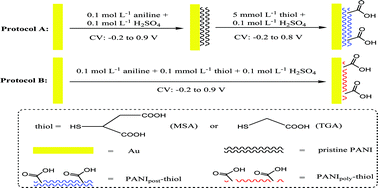 Graphical abstract: Electrochemical quartz crystal microbalance study of covalent tethering of carboxylated thiol to polyaniline for electrocatalyzed oxidation of ascorbic acid in neutral aqueous solution