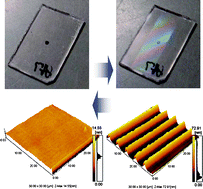 Graphical abstract: Reversible phototriggered micromanufacturing using amorphous photoresponsive spirooxazine film