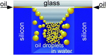 Graphical abstract: Parallelized edge-based droplet generation (EDGE) devices