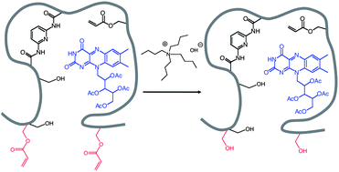 Graphical abstract: Water-compatible imprinted polymers for selective depletion of riboflavine from beverages