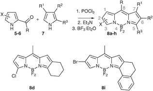 Graphical abstract: A versatile, modular synthesis of monofunctionalized BODIPY dyes