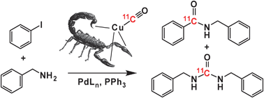 Graphical abstract: Copper(i) scorpionate complexes and their application in palladium-mediated [11C]carbonylation reactions