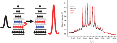 Graphical abstract: Population transfer for signal enhancement in pulsed EPR experiments on half integer high spin systems