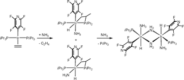 Graphical abstract: Activation of ethylene and ammonia at iridium: C–H versus N–H oxidative addition