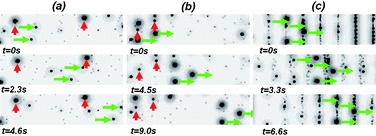 Graphical abstract: Separation of particles by pulsed dielectrophoresis