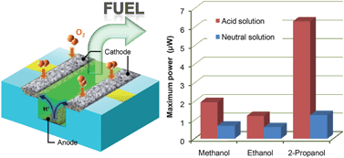 Graphical abstract: On-chip fuel cells for safe and high-power operation: investigation of alcohol fuel solutions