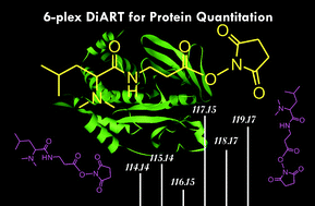 Graphical abstract: Revival of deuterium-labeled reagents for protein quantitation