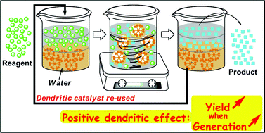 Graphical abstract: Grafting of water-soluble phosphines to dendrimers and their use in catalysis: positive dendritic effects in aqueous media