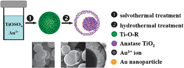 Graphical abstract: In situ encapsulation of Au nanoparticles in mesoporous core–shell TiO2 microspheres with enhanced activity and durability