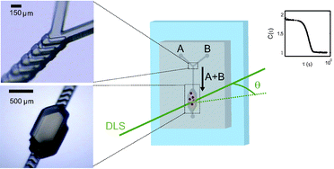 Graphical abstract: Microfluidics with on-line dynamic light scattering for size measurements