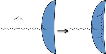 Graphical abstract: Oxidation of oleic acid at the air–water interface and its potential effects on cloud critical supersaturations