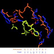 Graphical abstract: Prediction of protein–protein interactions between Helicobacter pylori and a human host