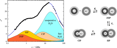 Graphical abstract: Interactions and dynamics in electrolyte solutions by dielectric spectroscopy