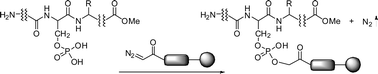 Graphical abstract: Synthesis of diazo functionalized solid supports and their application towards the enrichment of phosphorylated peptides