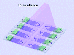 Graphical abstract: Multiple modular microfluidic (M3) reactors for the synthesis of polymer particles