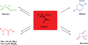 Graphical abstract: Easy access to trans-2,3-disubstituted cyclobutanones, 2,4,5-trisubstituted 3,6-dihydro-2H-pyrans and cis-substituted phenylcyclopropylsulfones by using the highly versatile 1-phenylsulfenyl- or 1-phenylsulfonyl-cyclopropylketones