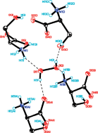 Graphical abstract: Glycine and l-serine crystalline perhydrates