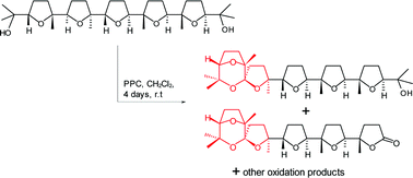 Graphical abstract: Discovery of a new PCC-mediated stereoselective oxidative spiroketalization process. An access to a new type of poly-THF spiroketal compound displaying anticancer activity