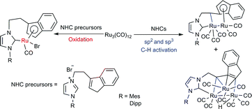 Graphical abstract: Reactions of indenyl-functionalized imidazolium salts and N-heterocyclic carbenes with Ru3(CO)12