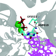 Graphical abstract: Synthesis and enzymatic incorporation of modified deoxyuridine triphosphates