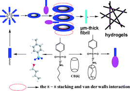 Graphical abstract: Fabrication and properties of cucurbit[6]uril induced thermo-responsive supramolecular hydrogels