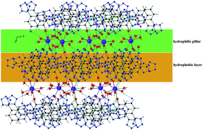 Graphical abstract: An in-depth study on hydrogen-bonded 3-D frameworks possessing hydrophobic layers and hydrophilic pillars