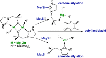 Graphical abstract: Magnesium and zinc complexes of functionalised, saturated N-heterocyclic carbene ligands: carbene lability and functionalisation, and lactide polymerisation catalysis