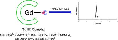 Graphical abstract: Speciation of gadolinium in gadolinium-based magnetic resonance imaging agents by high performance liquid chromatography inductively coupled plasma optical emission spectrometry