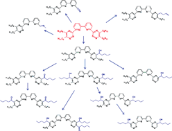 Graphical abstract: Radiolysis of solvents containing C5-BTBP: identification of degradation products and their dependence on absorbed dose and dose rate