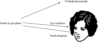 Graphical abstract: Partition of compounds from water and from air into amides