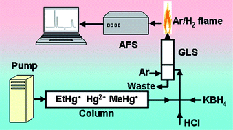 Graphical abstract: Direct chemical vapour generation-flame atomization as interface of high performance liquid chromatography-atomic fluorescence spectrometry for speciation of mercury without using post-column digestion