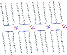 Graphical abstract: Liquid crystals of gold(I) N-heterocyclic carbene complexes