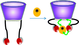 Graphical abstract: Enantioselective recognition of amino acids by chiral peptido-calix[4]arenes and thiacalix[4]arenes