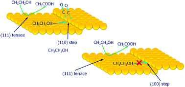 Graphical abstract: The role of the steps in the cleavage of the C–C bond during ethanol oxidation on platinum electrodes