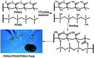 Graphical abstract: PMMA/PDMS valves and pumps for disposable microfluidics