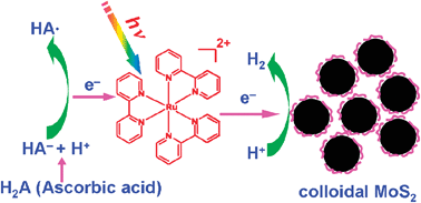 Graphical abstract: Visible light driven H2 production in molecular systems employing colloidal MoS2nanoparticles as catalyst