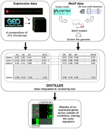 Graphical abstract: Inferring the transcriptional network of Bacillus subtilis