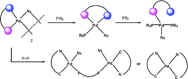 Graphical abstract: Cyclopalladated azido complexes containing C,N-donor (HC∼N = 2-(2′-thienyl)pyridine, azobenzene, 3,3′-dimethyl azobenzene, N,N′-dimethylbenzylamine, 2-phenylpyridine) ligands: reactivity towards organic unsaturated compounds and catalytic properties