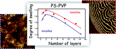 Graphical abstract: “Micro-structure–macro-response” relationship in swollen block copolymer films