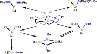 Graphical abstract: Synthesis and structural studies of amido, hydrazido and imido zirconium(iv) complexes incorporating a diamido/diamine cyclam-based ligand