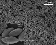 Graphical abstract: Synthetic loosely packed monoclinic BiVO4 nanoellipsoids with novel multiresponses to visible light, trace gas and temperature