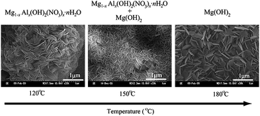 Graphical abstract: Morphological control of vertically self-aligned nanosheets formed on magnesium alloy by surfactant-free hydrothermal synthesis