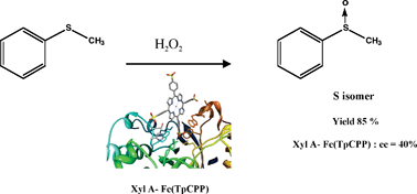 Graphical abstract: Selective oxidation of aromatic sulfide catalyzed by an artificial metalloenzyme: new activity of hemozymes