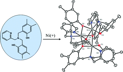 Graphical abstract: Electrochemical synthesis and structural characterization of Co(II), Ni(II) and Cu(II) complexes of N,N-bis(4,5-dimethyl-2-hydroxybenzyl)-N-(2-pyridylmethyl)amine