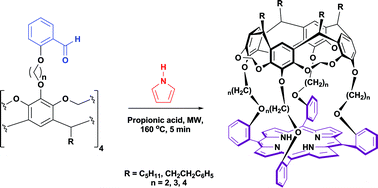 Graphical abstract: Microwave-assisted synthesis of a new series of resorcin[4]arene cavitand-capped porphyrin capsules