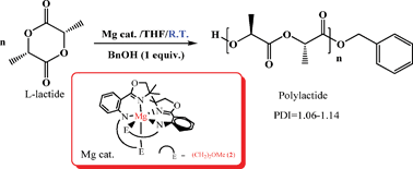 Graphical abstract: Magnesium complexes containing bis-amido-oxazolinate ligands as efficient catalysts for ring opening polymerisation of l-lactide