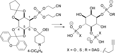 Graphical abstract: Synthesis of unsaturated phosphatidylinositol 4,5-bisphosphate and analogues