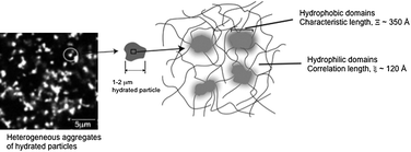 Graphical abstract: Molecular level and microstructural characterisation of thermally sensitive chitosan hydrogels