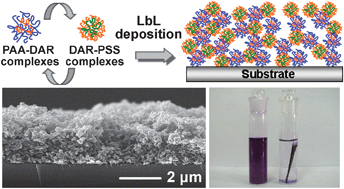 Graphical abstract: Layer-by-layer deposition of polyelectrolyte complexes for the fabrication of foam coatings with high loading capacity